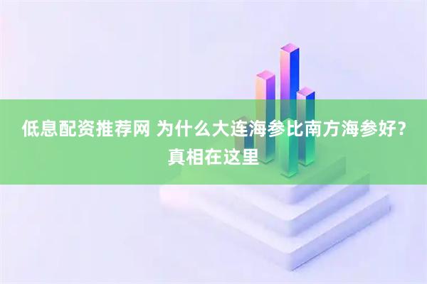 低息配资推荐网 为什么大连海参比南方海参好？真相在这里